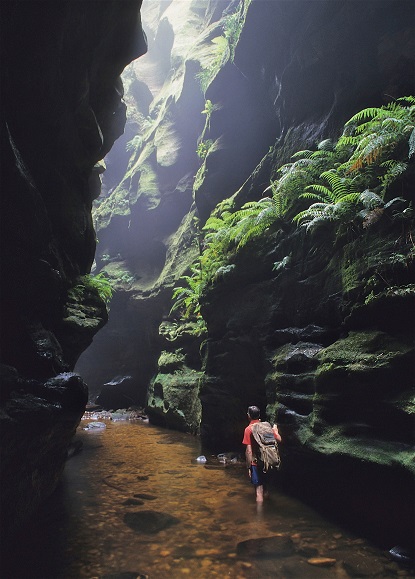 Dave in Grand Canyon